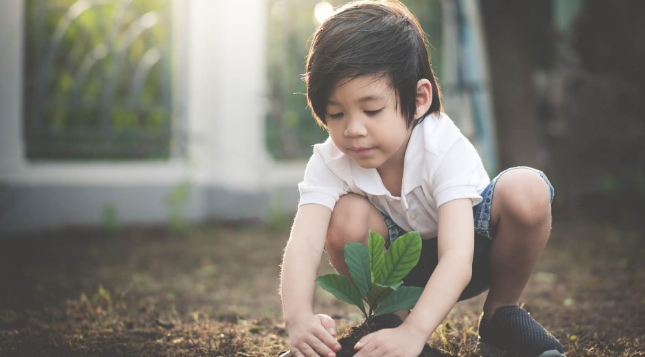 Child planting a tree