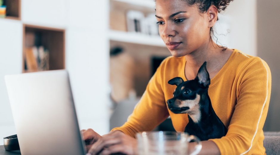 Young African-American woman sitting with her pet dog and using laptop at home